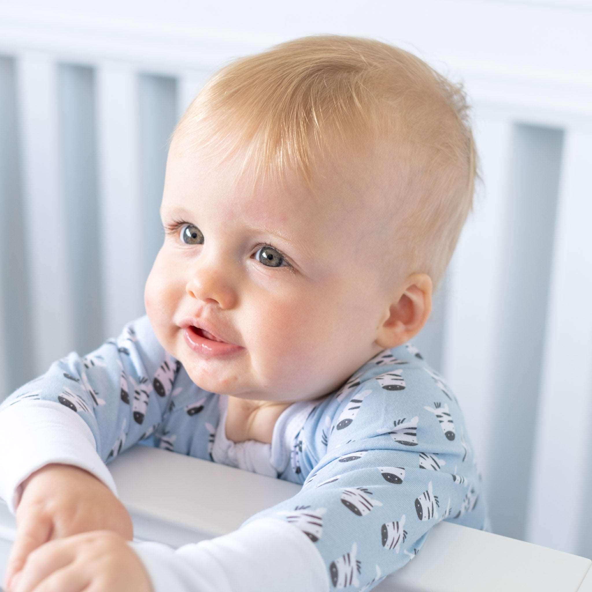 The Baby Blue Zebras ZippySuit. The perfect baby grow has a 2-way zip for quick and easy changes, foldable mitts and foldable feet pouches.